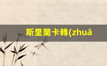 斯里蘭卡轉(zhuǎn)機(jī) 簽證(斯里蘭卡轉(zhuǎn)機(jī) 簽證要多久)